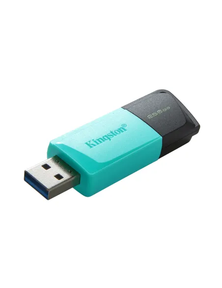 Kingston Technology DataTraveler 256GB USB3.2 Gen1 Exodia M (Negro + Turquesa)