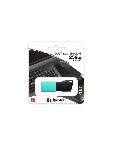Kingston Technology DataTraveler 256GB USB3.2 Gen1 Exodia M (Negro + Turquesa)