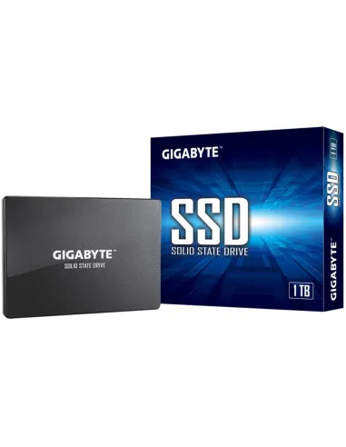 Gigabyte GP-GSTFS31100TNTD