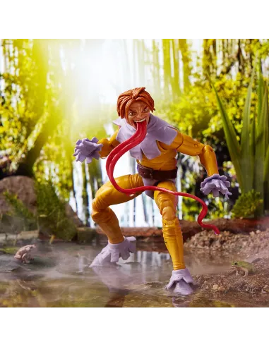 Marvel Legends Series ’s Toad