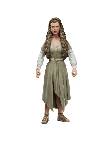 Star Wars The Black Series F43525X0 toy figure