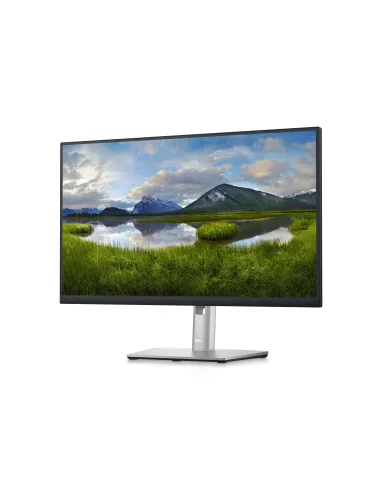 DELL P Series Monitor Dell 24 con concentrador USB-C: P2423DE