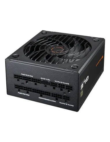 COUGAR CGRGLE-1000 unidad de fuente de alimentación 1000 W 20+4 pin ATX ATX Negro