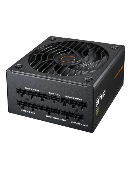 COUGAR CGRGLE-1000 unidad de fuente de alimentación 1000 W 20+4 pin ATX ATX Negro