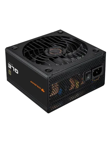 COUGAR CGRGLE-1000 unidad de fuente de alimentación 1000 W 20+4 pin ATX ATX Negro