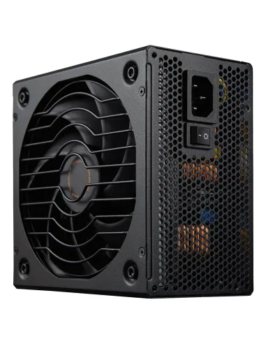 COUGAR CGRGLE-1000 unidad de fuente de alimentación 1000 W 20+4 pin ATX ATX Negro