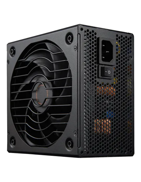 COUGAR CGRGLE-1000 unidad de fuente de alimentación 1000 W 20+4 pin ATX ATX Negro