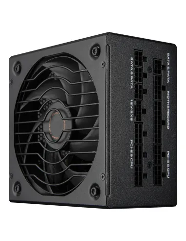COUGAR CGRGLE-1000 unidad de fuente de alimentación 1000 W 20+4 pin ATX ATX Negro