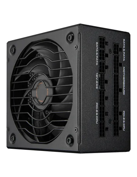 COUGAR CGRGLE-1000 unidad de fuente de alimentación 1000 W 20+4 pin ATX ATX Negro