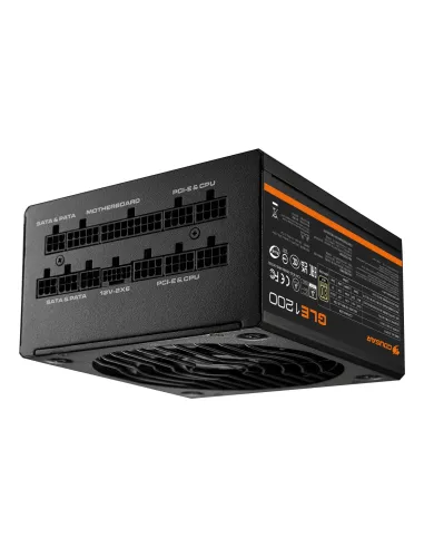COUGAR CGRGLE-1000 unidad de fuente de alimentación 1000 W 20+4 pin ATX ATX Negro