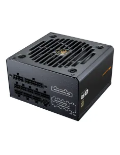 COUGAR CGRGDN-750 unidad de fuente de alimentación 750 W 20+4 pin ATX ATX Negro