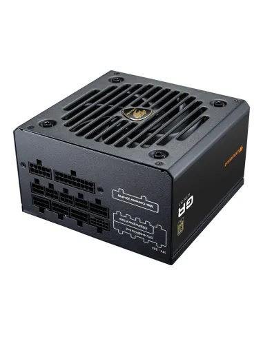 COUGAR CGRGDN-750 unidad de fuente de alimentación 750 W 20+4 pin ATX ATX Negro