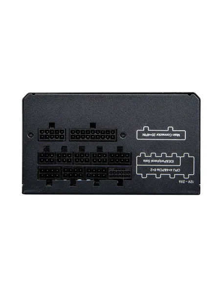 COUGAR CGRGDN-750 unidad de fuente de alimentación 750 W 20+4 pin ATX ATX Negro