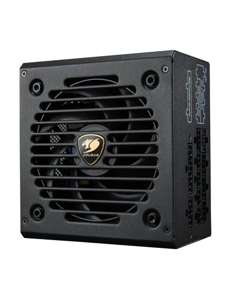 COUGAR CGRGDN-750 unidad de fuente de alimentación 750 W 20+4 pin ATX ATX Negro