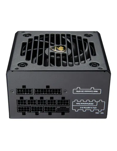 COUGAR CGRGDN-750 unidad de fuente de alimentación 750 W 20+4 pin ATX ATX Negro