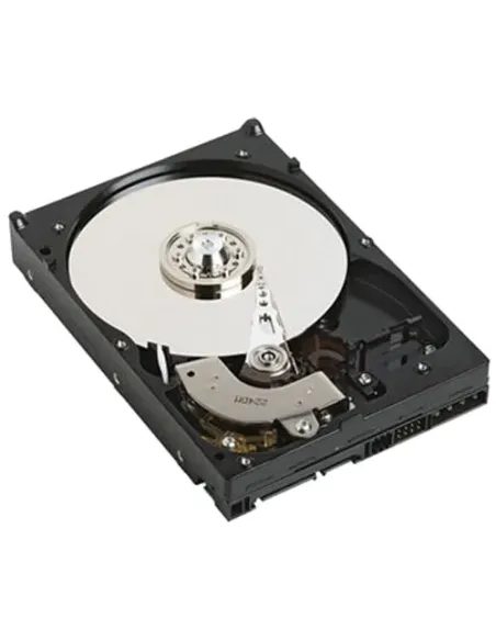 DELL NPOS - to be sold with Server only - 1TB 7.2K RPM SATA 6Gbps 512n 3.5in Cabled Hard Drive