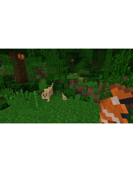 Nintendo Minecraft Estándar Nintendo Switch