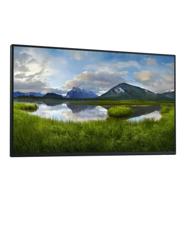 DELL Pro Plus P2425HE_WOST pantalla para PC 61 cm (24") 1920 x 1080 Pixeles Full HD LCD Negro