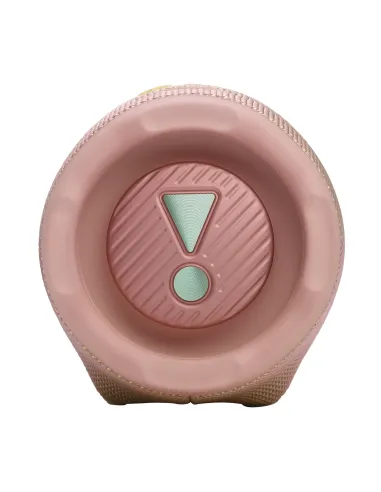 JBL Charge 6 Rosa 45 W