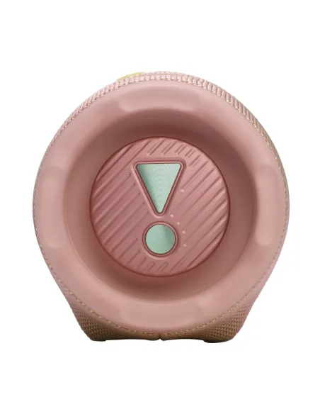 JBL Charge 6 Rosa 45 W