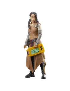 Star Wars The Black Series F55285X0 toy figure