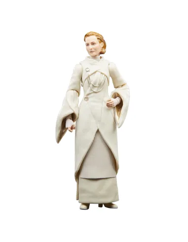 Star Wars The Black Series F55305X0 toy figure