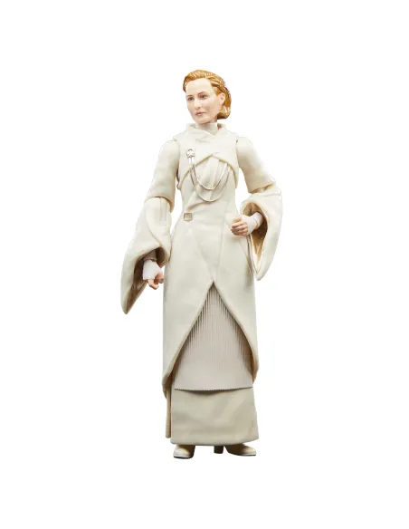 Star Wars The Black Series F55305X0 toy figure