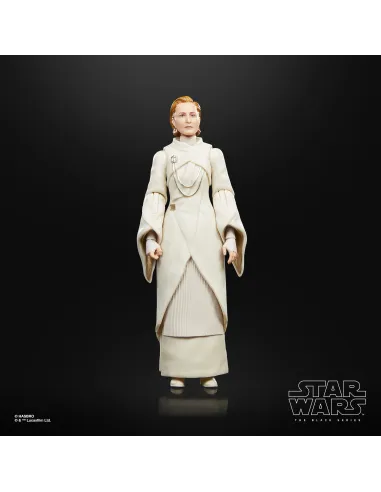 Star Wars The Black Series F55305X0 toy figure