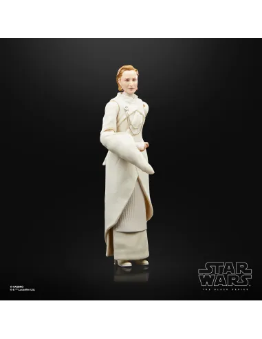 Star Wars The Black Series F55305X0 toy figure