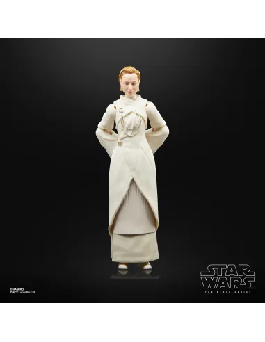 Star Wars The Black Series F55305X0 toy figure