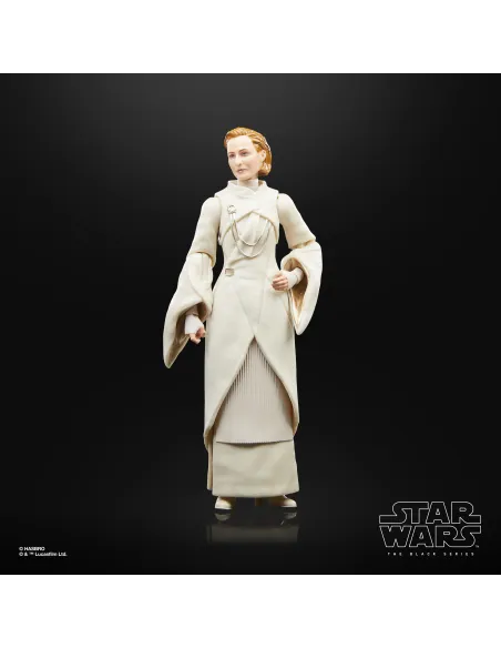 Star Wars The Black Series F55305X0 toy figure