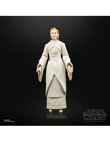 Star Wars The Black Series F55305X0 toy figure