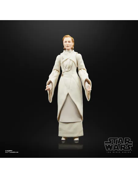 Star Wars The Black Series F55305X0 toy figure