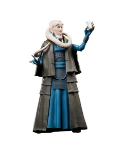 Star Wars The Black Series Bib Fortuna