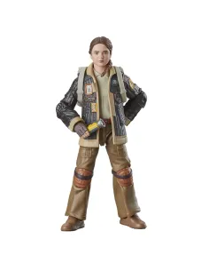 Star Wars The Black Series Fern 2