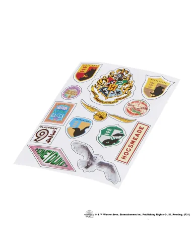 Harry Potter GXW31 muñeca