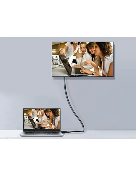 Equip 119332 Cable DisplayPort 1.2, 2,0 m, 4K 60 Hz