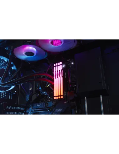 Kingston Technology FURY Beast 16 GB 5600 MT s DDR5 CL40 DIMM RGB