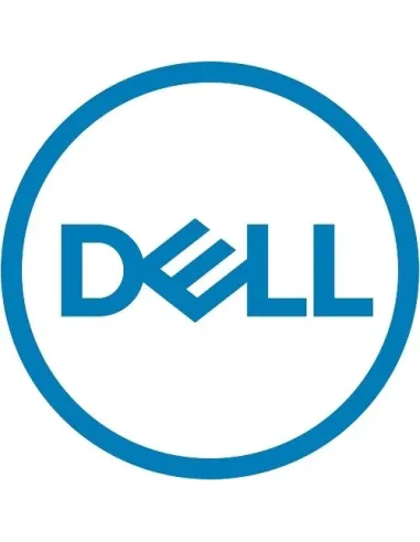 DELL 161-BBPH disco duro interno 4 TB 7200 RPM 3.5" NL-SAS