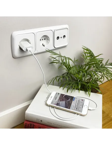 Nanocable Cable Lightning a USB-A, Lightning M -USB A M, Blanco, 50 cm