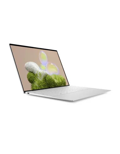 DELL XPS 13 9350 Copilot+ PC Intel Core Ultra 7 258V Portátil 34 cm (13.4") Full HD+ 32 GB LPDDR5x-SDRAM 1 TB SSD Wi-Fi 7