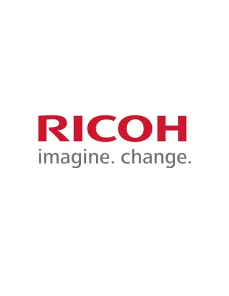 Cartucho tinta ricoh garment y (hi yield) type 1 ri 100