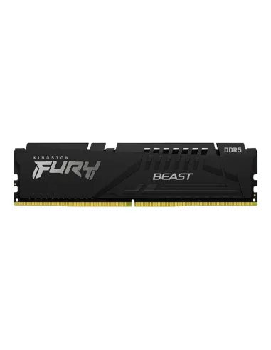 Kingston Technology FURY Beast