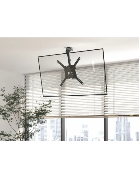 Equip Soporte de TV para montaje en techo de 23"-55