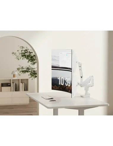 Equip Soporte de escritorio para monitor doble de 17«-35», blanco