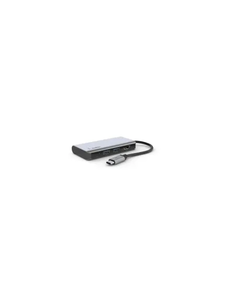 Belkin AVC006btSGY USB 3.2 Gen 1 (3.1 Gen 1) Type-C Plata
