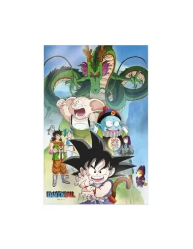 Poster 3d 38x58cm shenron and heroes dragon ball