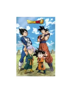 Poster 3d 58x38cm battle of gods goku vegeta family dragon ball super