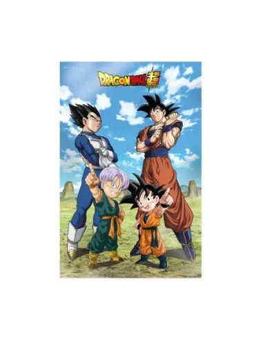Poster 3d 58x38cm battle of gods goku vegeta family dragon ball super