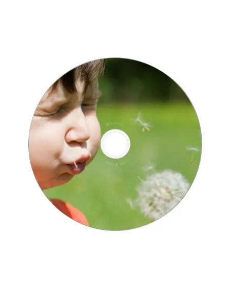 Verbatim 43521 DVD en blanco 4,7 GB DVD-R 10 pieza(s)